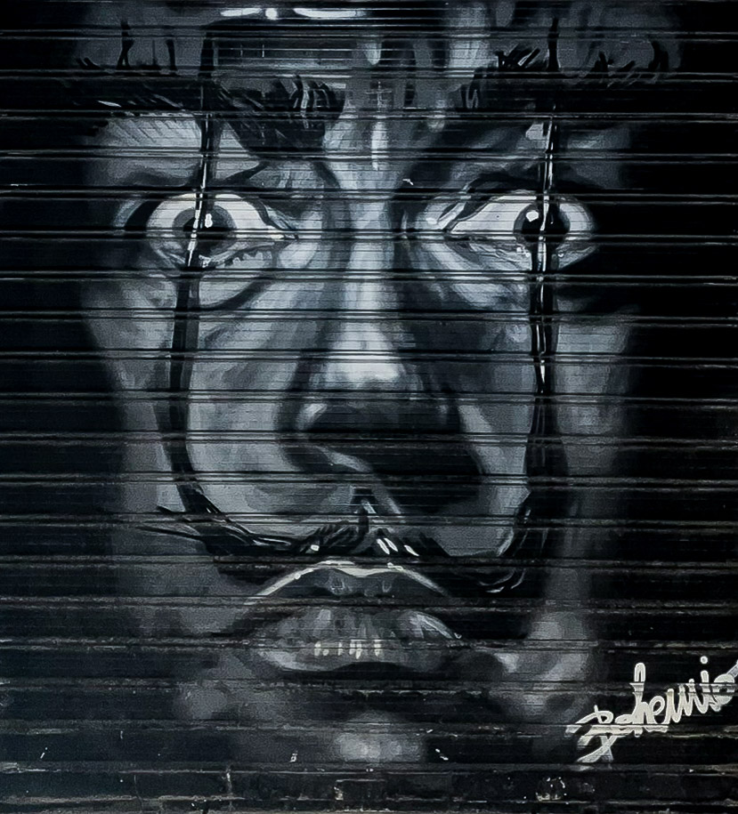Dalí painted on the shutter of the Disaster Streetwear store by Málaga artist Bohemio, in Málaga's Soho neighbourhood