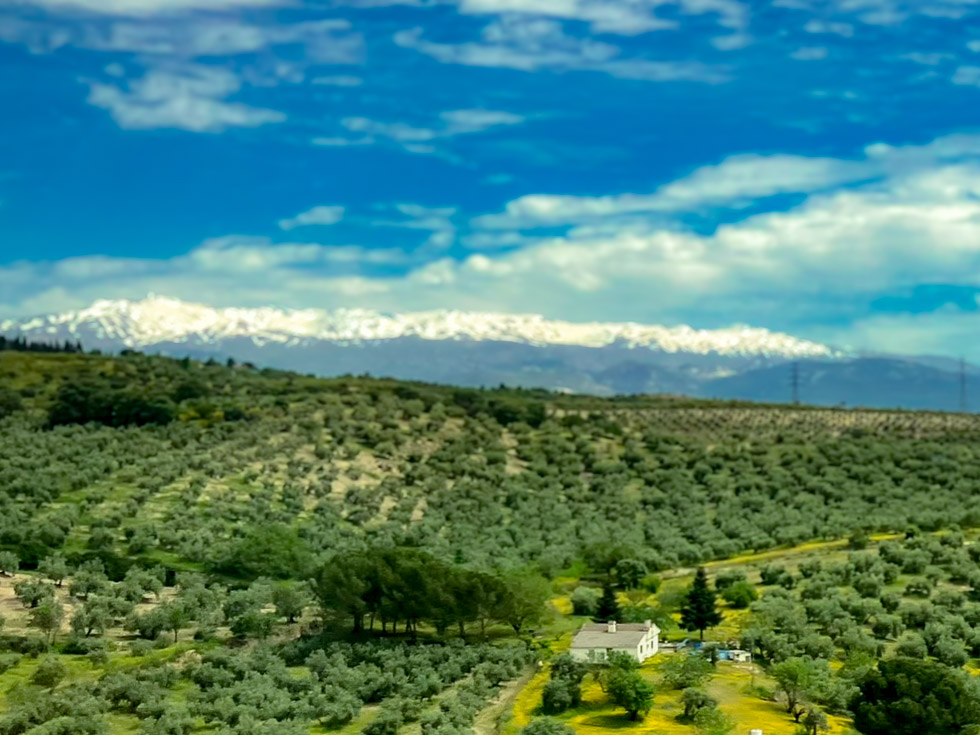 Finca en Sierra Nevada, en la provincia de Granada