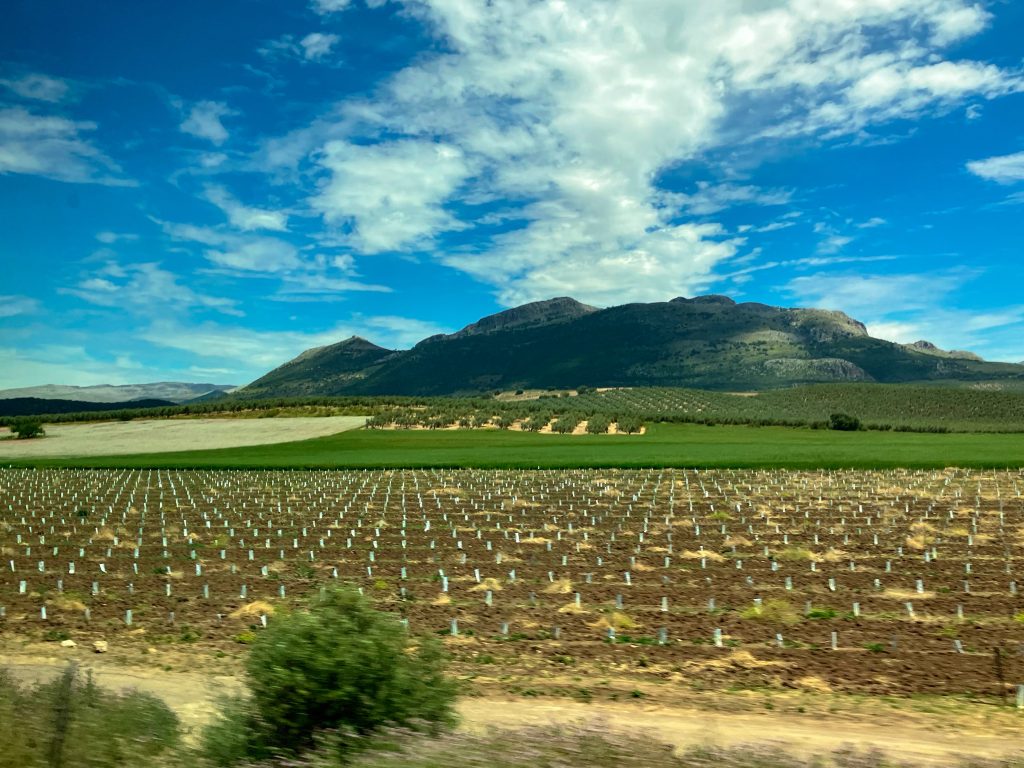 Agricultura en Sierra Nevada, en la provincia de Granada