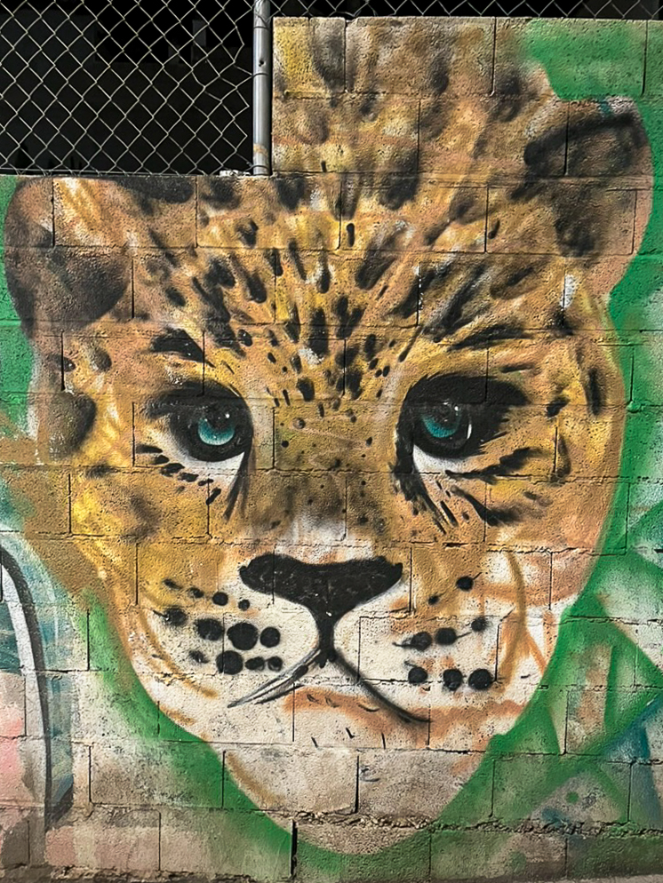 Mural of leopard cub in Málaga