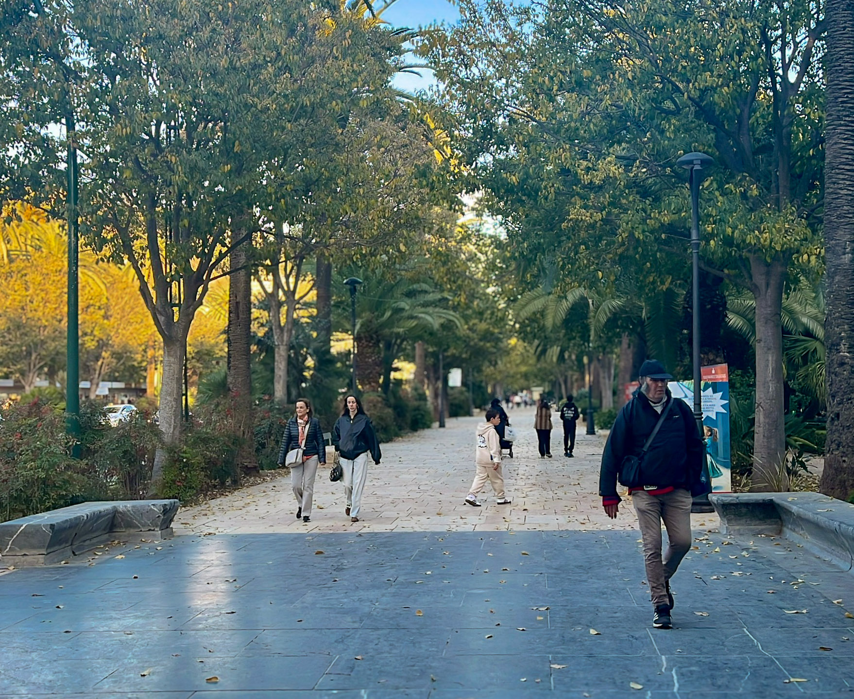 El Paseo Del Parque de Málaga en diciembre