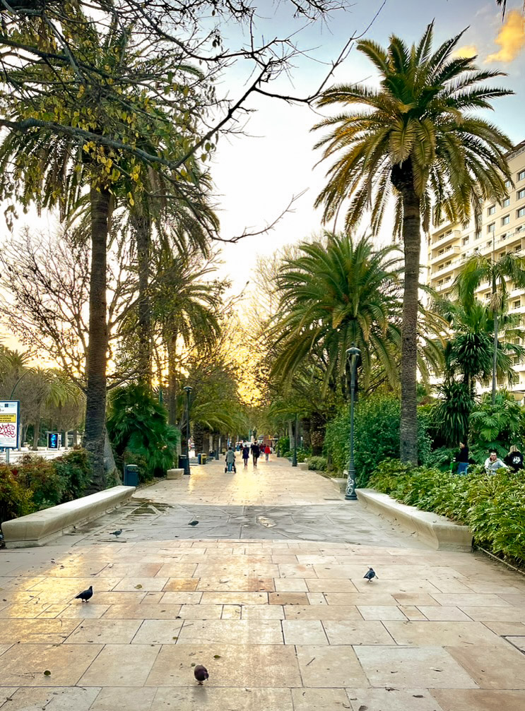 El Paseo Del Parque de Málaga en enero