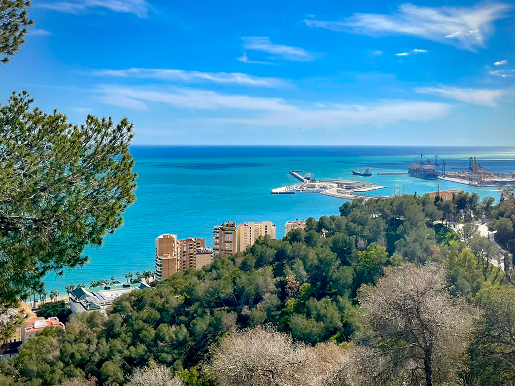 El puerto de Málaga visto desde Monte Victoria