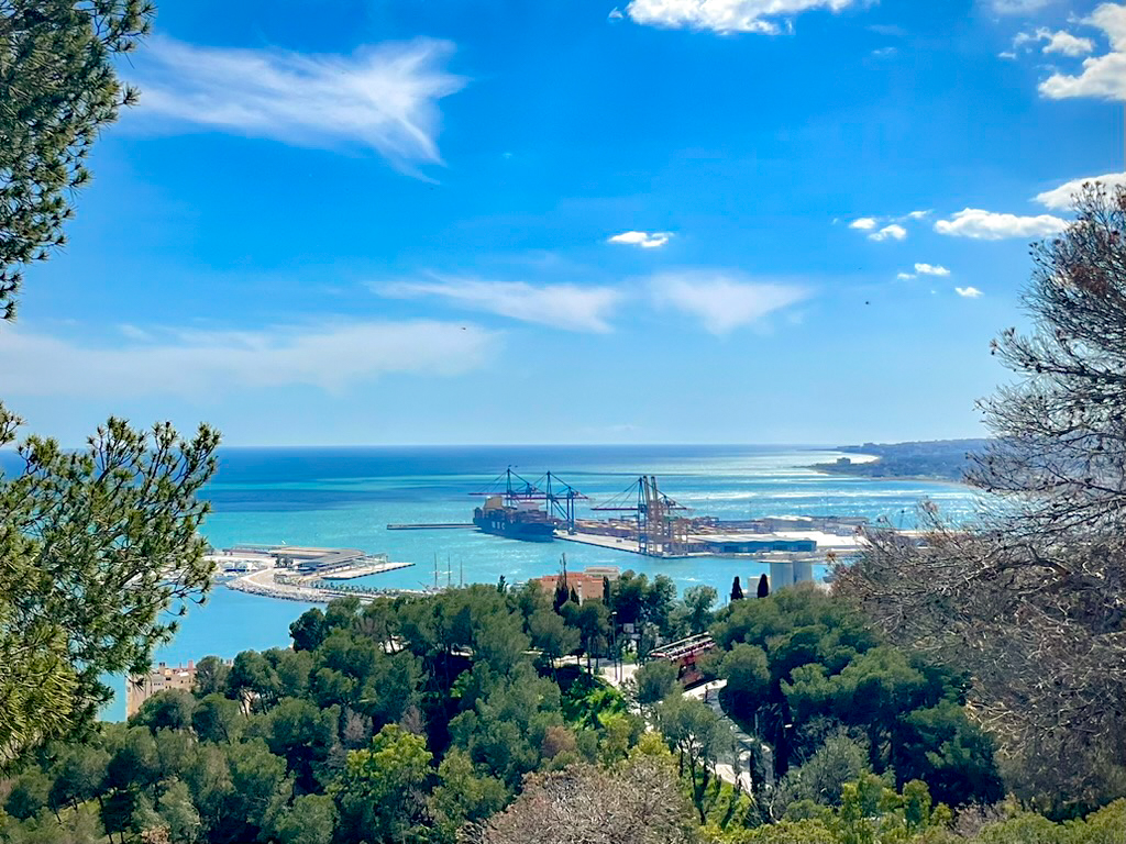 El puerto de Málaga visto desde Monte Victoria