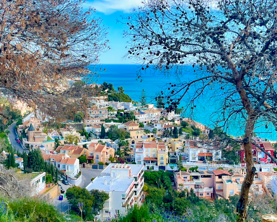 El barrio residencial de El Limonar en Málaga, en el distrito este, visto desde Monte Victoria