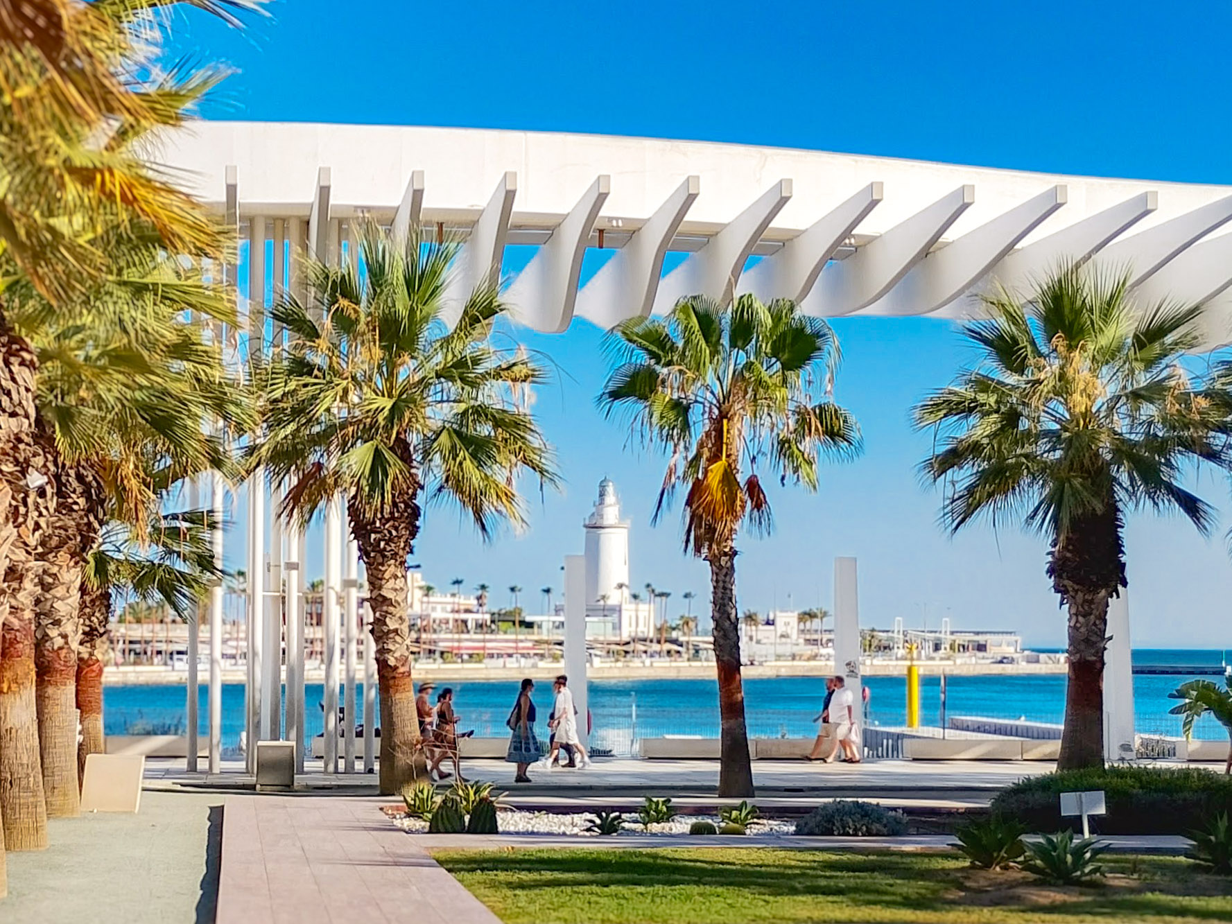 Palmeral de las Sorpresas (2011) en Muelle Uno con el faro de La Farola (1817) al fondo en el puerto de Málaga