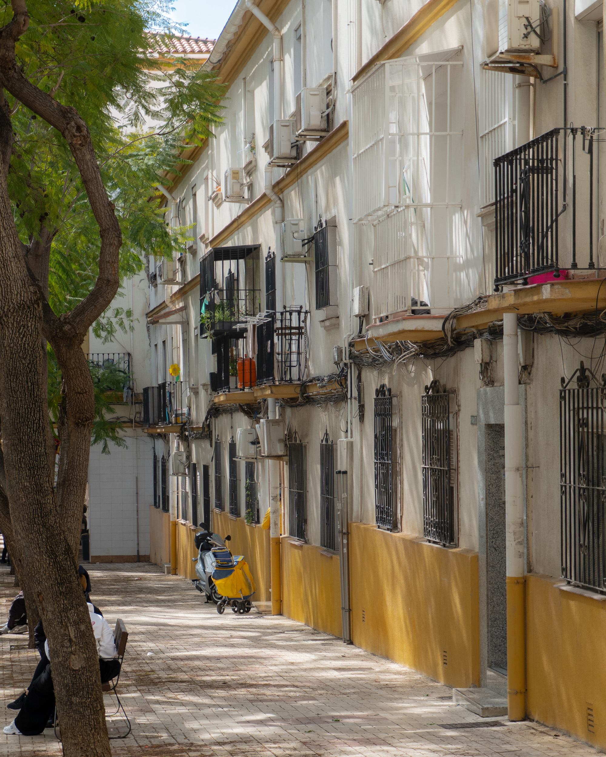 Calle Virgen De La Estrella en Cruz de Humilladero en Málaga