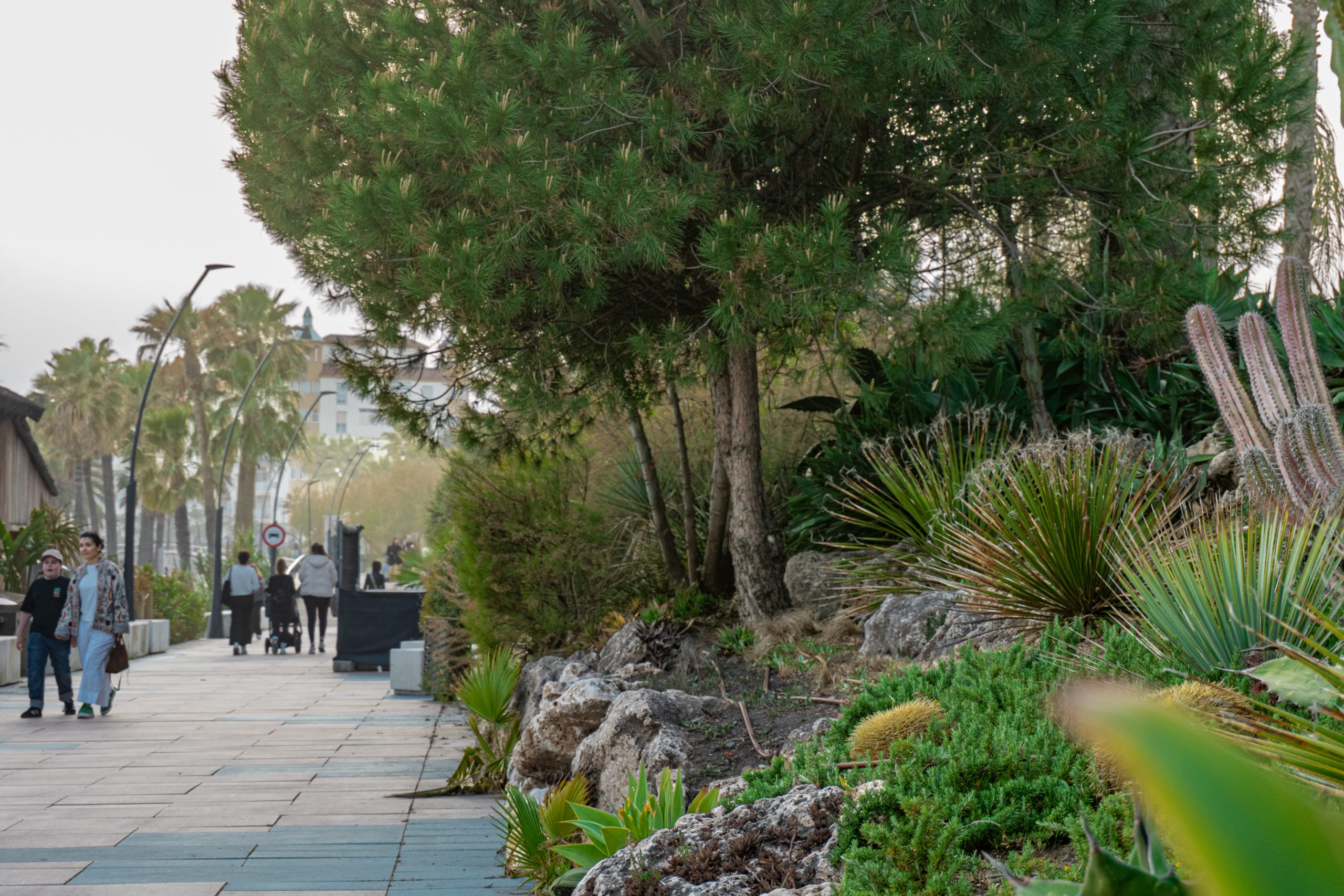 Paseo en Paisaje Marítimo en Estepona, junto a la playa con plantas y cactus