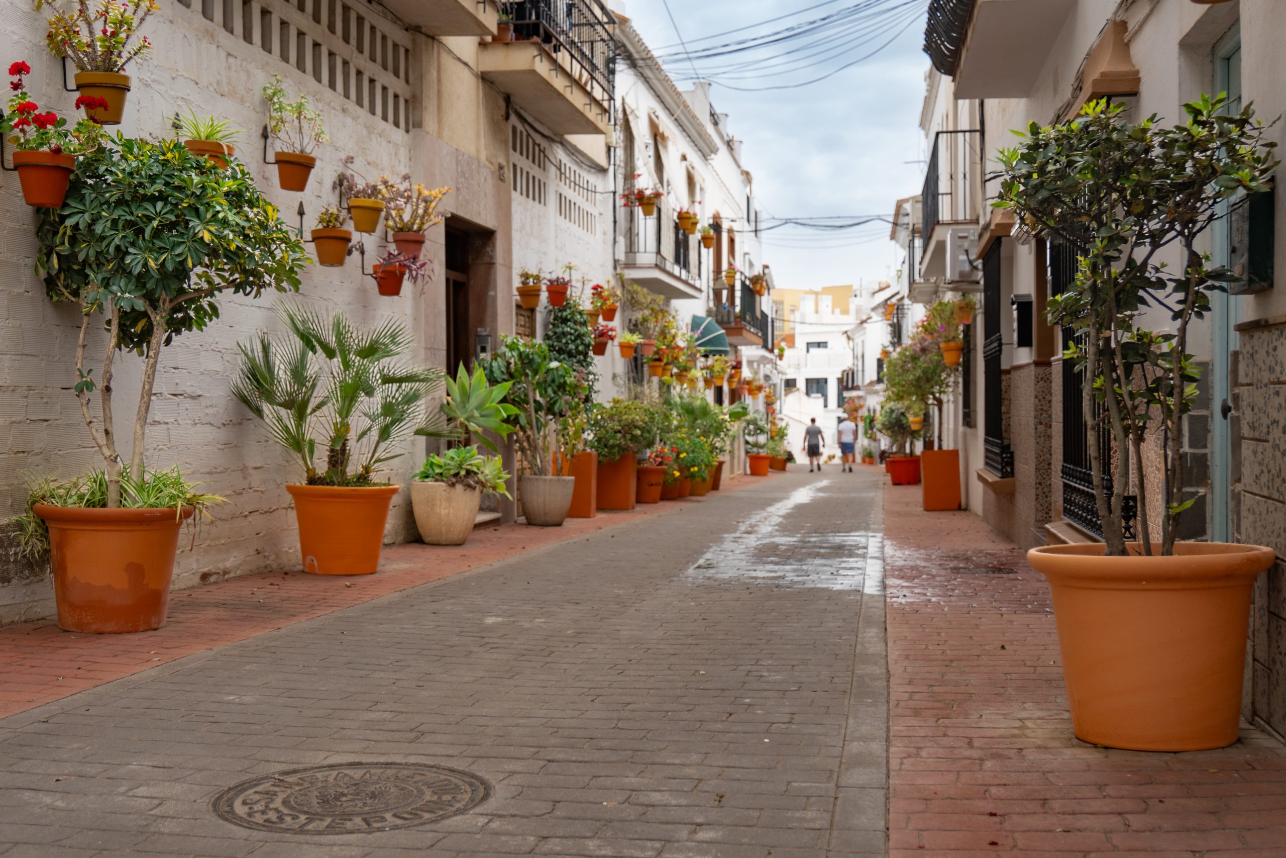 Calle del casco antiguo de Estepona, con sus casas encaladas y coloridas macetas