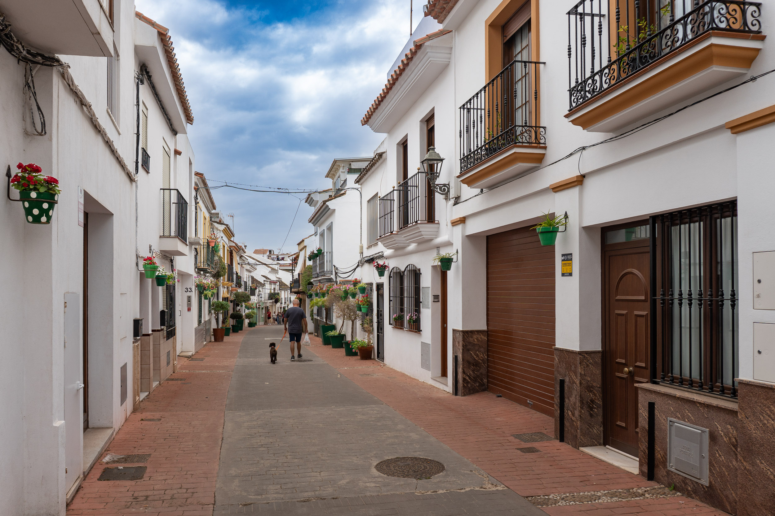 Calle del casco antiguo de Estepona, con sus casas encaladas y coloridas macetas