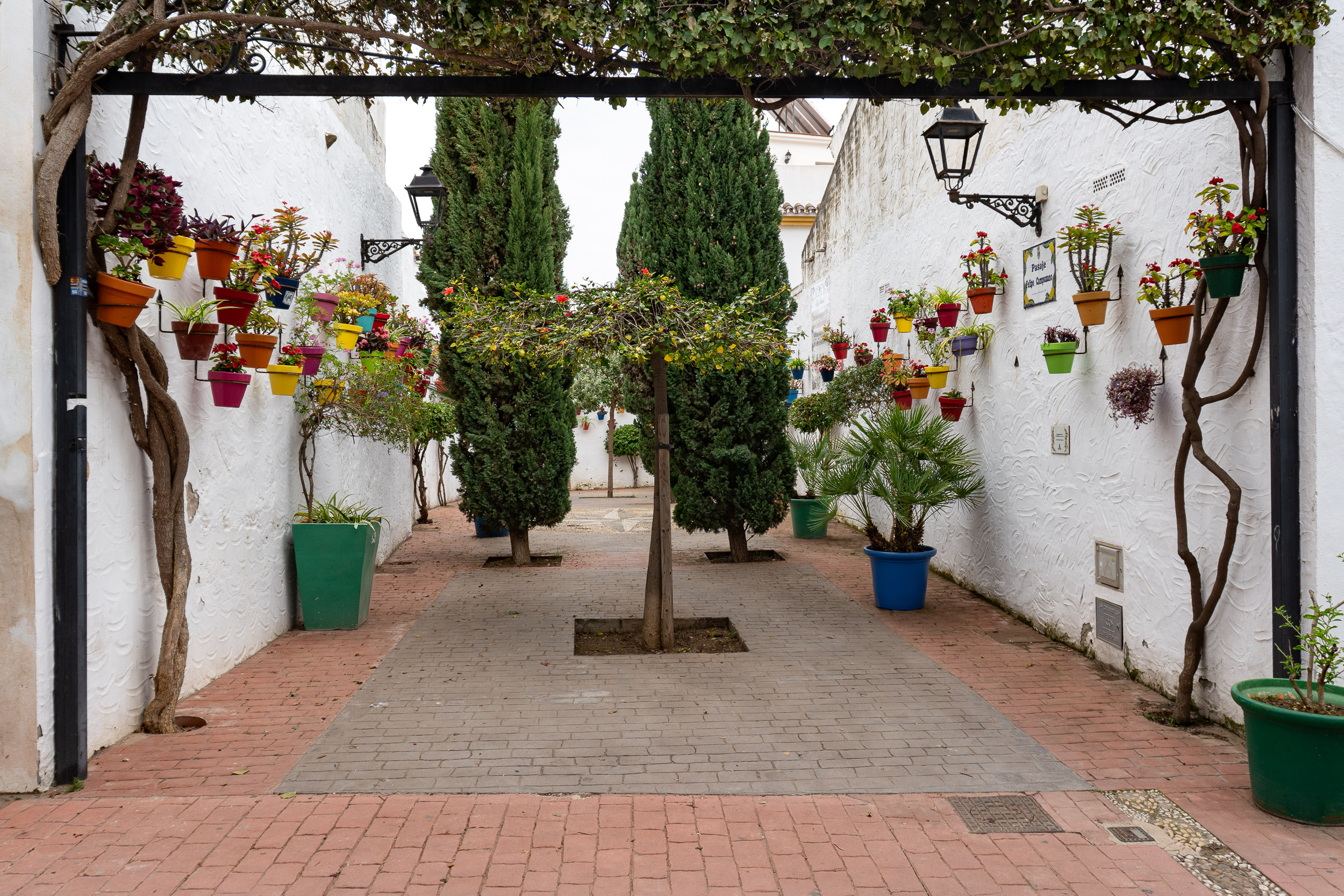 Jardín urbano en el casco antiguo de Estepona con coloridas macetas