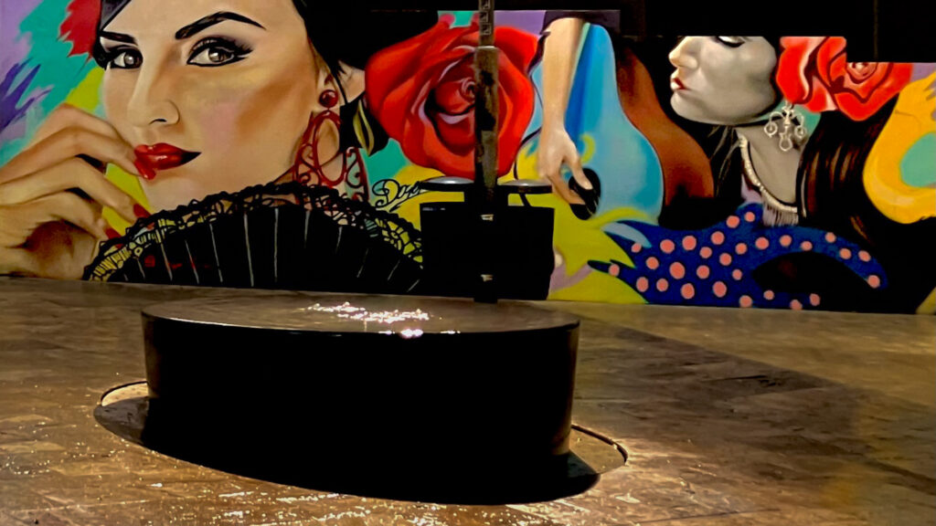 Mural del artista de grafiti Doger titulado «La Flamenca de El Pimpi» en Calle Granada 58, Málaga