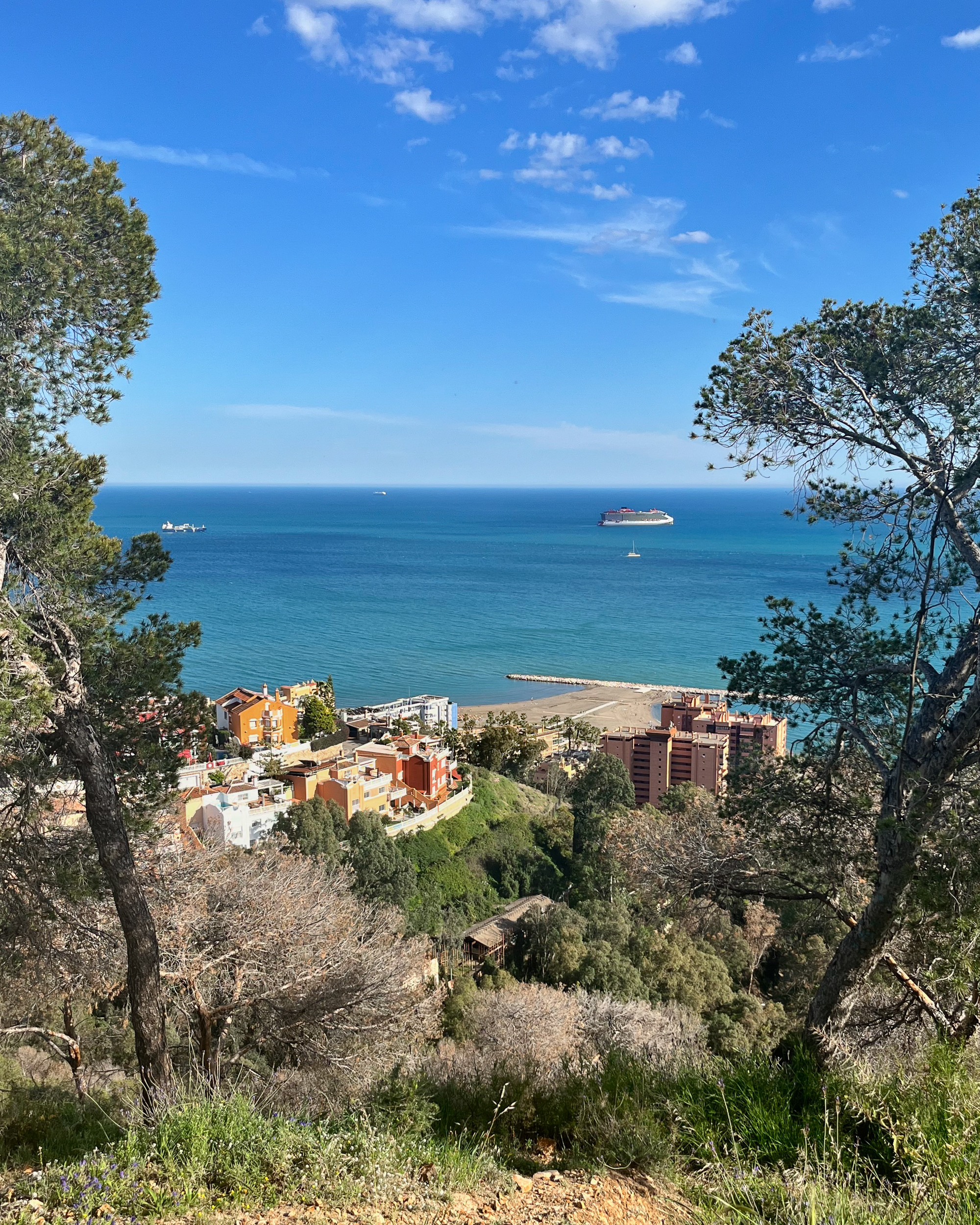 The residential neighborhood of El Limonar and La Malagueta beach in Málaga—located in the Eastern District—seen from the Monte Victoria viewpoint. This spot can be reached via the Monte Victoria trail (sendero al Monte Victoria)