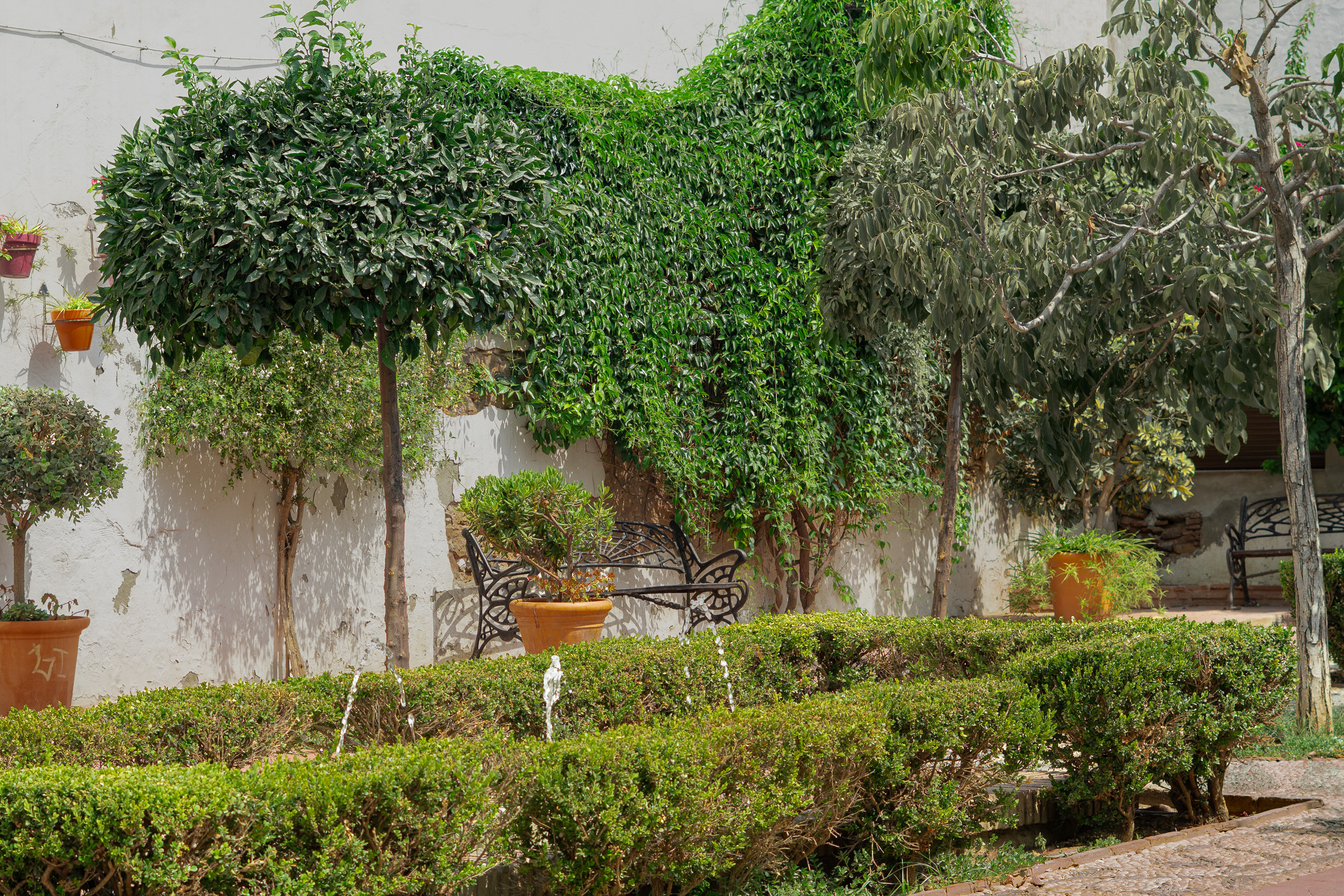 La plaza de Juan Bazán llena de plantas situada en el casco antiguo de Estepona