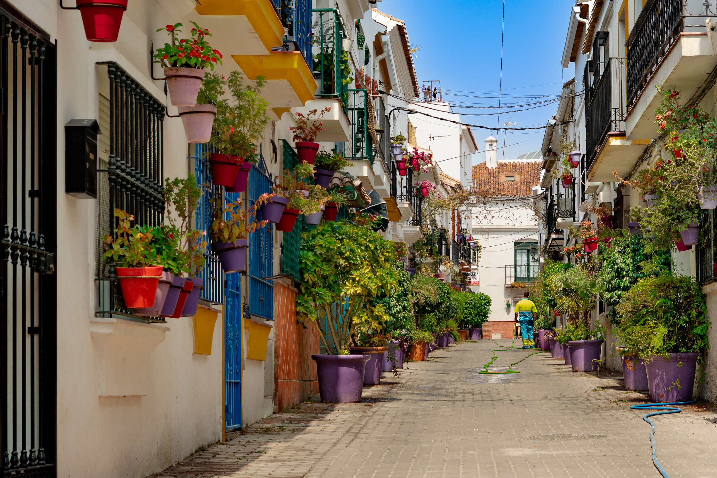 Un empleado municipal regando las plantas y flores del casco antiguo de Estepona.