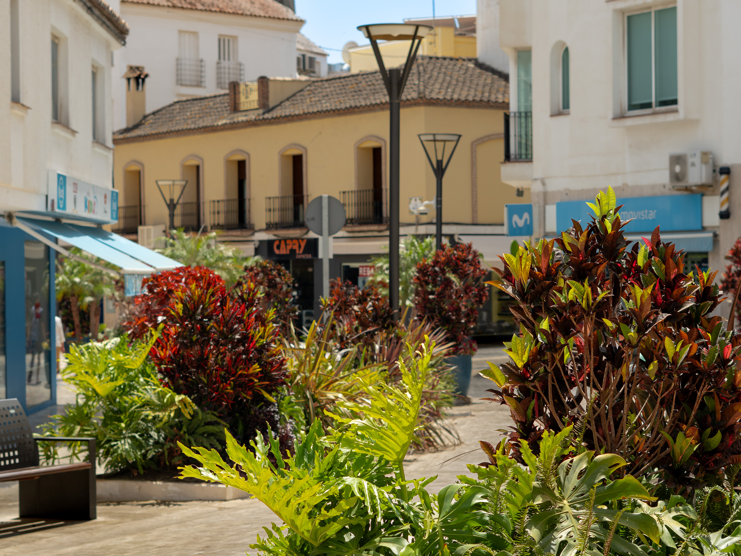 Calle Terraza, a commercial street in Estepona with plenty of greenery.