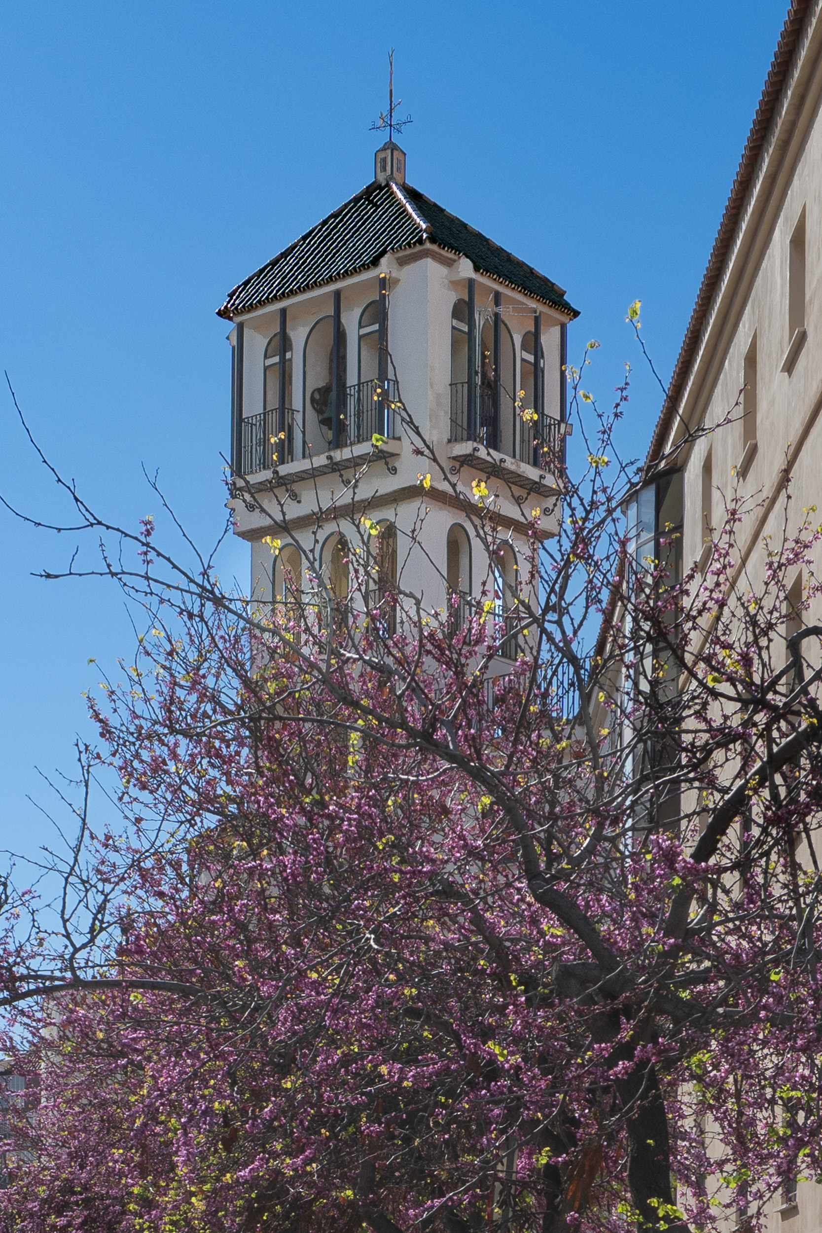 Bell tower of the Basilica of La Esperanza behind purple-blooming Judas trees on Calle San Jacinto, El Perchel, Málaga