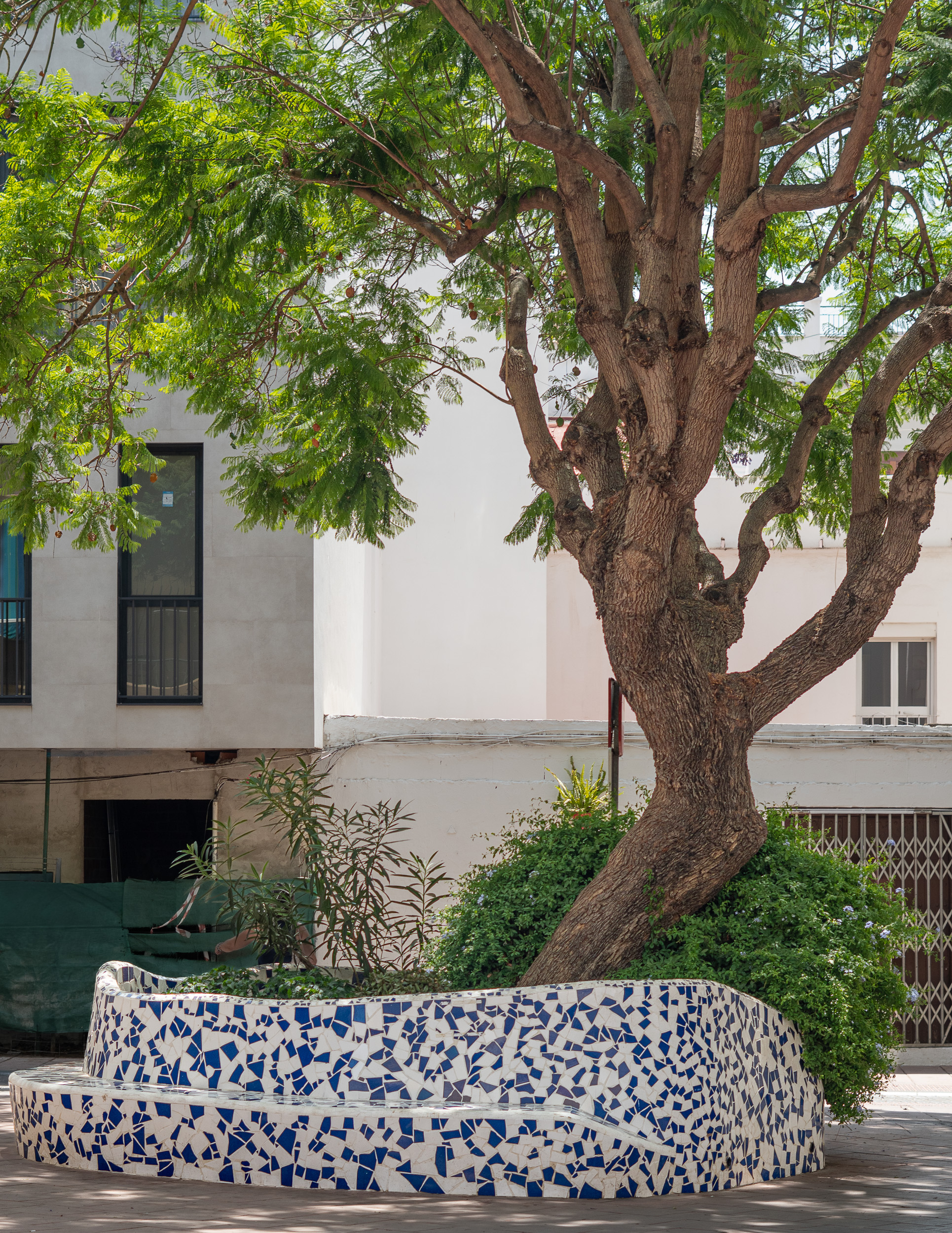 A green jacaranda tree next to a curved public bench decorated with broken ceramic mosaic tiles at Plaza ABC in Estepona