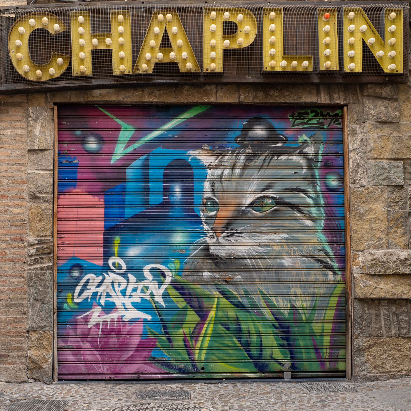 Colourful mural depicting a cat, painted on the rolling shutter of Bar Chaplin on Calle Elvira in Granada, Spain